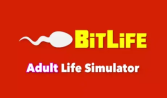 E-Life Simulation (Bitlife)