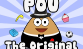 Pou pet