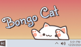 Bongo Cat
